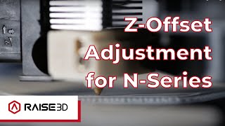 NSeries ZOffset Calibration Guide  Raise Academy [upl. by Nylessej32]