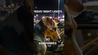 Skyhawks win again beagletales football fridaynightlights [upl. by Kulsrud]