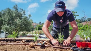 JULIEN SELLIER PAYSAGISTE  Conception et entretien de jardins à LYON 69 [upl. by Anuat544]