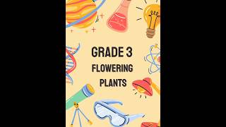 Science grade 3 exam worksheets shorts shortsfeed [upl. by Worl942]