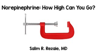 Norepinephrine How High Can You Go [upl. by Conlan]