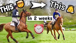 LEARNING HOW TO CANTER MY EX RACE HORSE CROSS COUNTRY 🤯 GoPro amp Event Vlog [upl. by Anerhs984]