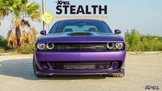 STEALTHcat  Full XPEL STEALTH Satin Finish Wrapped Dodge Challenger SRT Hellcat by The Sign Savers [upl. by Ianaj]