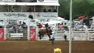 Saddle Bronc Riding [upl. by Lynnell]