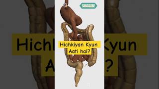 Hichkiyan Kyun Aati Hai Explained  ApSr viralshort apsr facts humanbody science feedshort [upl. by Goulder]