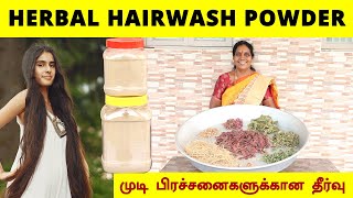 மூலிகை சீயக்காய் பொடி வீட்டுமுறையில்  Herbal Homemade shikakai Hair Wash powder  Foodie Tamizha [upl. by Charlotta377]