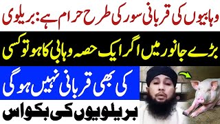 Wahabi Aur Sunni Molvion ka Qurbani k Baary main Jhagra  ilyas qadri exposed  Ahsan Gondal [upl. by Lay]