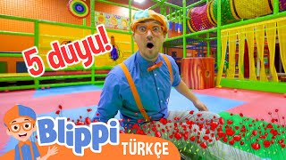 Blippi 5 Duyuyu Öğreniyor  Blippi Türkçe  Çocuklar için eğitici videolar  Türkçe Dublajlı [upl. by Georgianna]