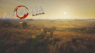 Playing Lioness in Animalia Survival  Animalia Survival [upl. by Nonnaer]