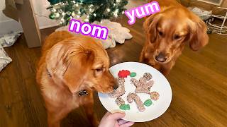 My Dogs Bake Christmas Cookies [upl. by Itsa980]