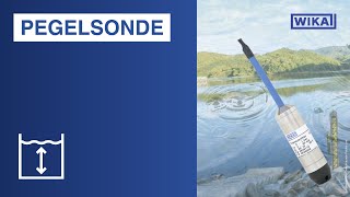 WIKA  Hydrostatische Füllstandsmessung mit Pegelsonde [upl. by Linehan660]