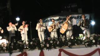 TERRENAL JULION ALVAREZ MARIACHI MOYA [upl. by Agneta394]