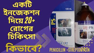 পেনিসিলিন স্ট্রেপটোমাইসিন এর ব্যবহার ক্ষেত্র সমূহ। Long PS [upl. by Cornall]