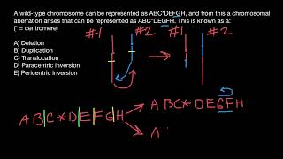 Translocation Paracentric inversion Pericentric inversion [upl. by Lorette]