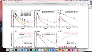 PBPK and QSP model implementation and utilization in R Part 2 [upl. by Magnum]