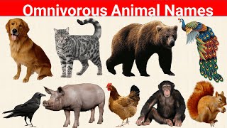 Omnivorous animals name  omnivorous animals means [upl. by Ajiat]