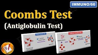 Coombs test or Antiglobulin Test FLImmuno66 [upl. by Farika]