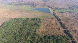 Lisoka  Bamboo Plantation Malawi [upl. by Einnok]