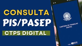 Consulta PIS PASEP PELA CARTEIRA DE TRABALHO DIGITAL [upl. by Ahtiuqal60]