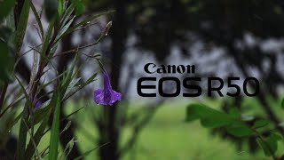 Canon EOS R50 Video Test 4K [upl. by Aitsirt]