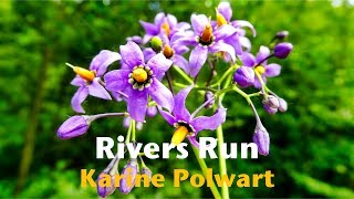 Karine Polwart  Rivers Run HD [upl. by Zaria]