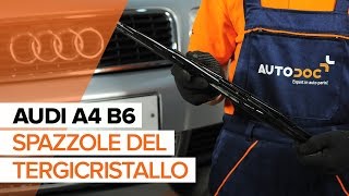 Come sostituire spazzole del tergicristallo anteriori su AUDI A4 B6 TUTORIAL [upl. by Sredna]