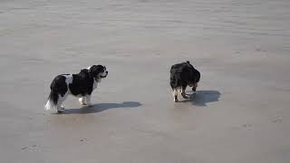 Brean Beach Walk [upl. by Eseela]