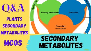 Secondary Metabolites MCQs  Secondary Metabolites of Plants Questions  secondary metabolite quiz [upl. by Lehet]