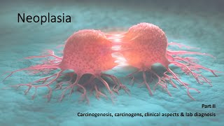 Neoplasia cancer  Pathology lecture class  part 2 [upl. by Egiedan]