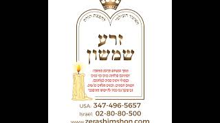 Zera Shimshon  Vayera  Classes on TZS in English  Rabbi Shalom Perel [upl. by Christabella]