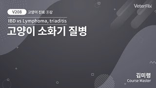 베터플릭스 고양이 진료 노하우 3강  고양이 소화기 질병IBD vs Lymphoma triaditis [upl. by Winton]