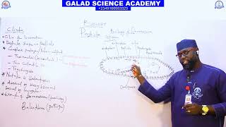 BIOLOGY PARAMECIUM 2  FULL JAMB IJMBE JUPEB AND 100 LEVEL TUTORIAL CLASS GALADSCIENCEACADEMY [upl. by Alleuol]