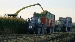 ENSILAGE au LEVER DU SOLEIL  ETA KOZUB [upl. by Grimbly]