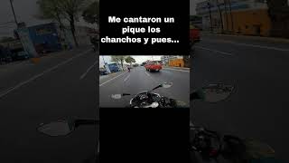 Ni porque le di ventaja al 👮 bigmotors automobile cfmoto ssc biker [upl. by Malarkey868]