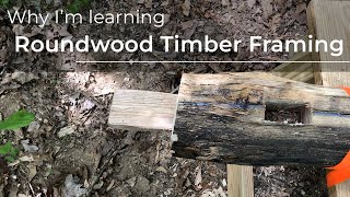 Why learn Roundwood Timber Framing [upl. by Husha]