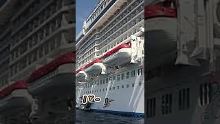 Short Cruceros Viajes Europa Turismo [upl. by Edmee765]