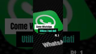 Come WhatsApp utilizza i tuoi dati pt 1 [upl. by Alesiram153]