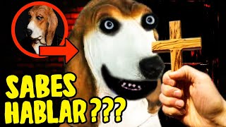 MI PERRA SABE HABLAR… NUNCA LE PREGUNTES 😱 🐶 descubro oscuro secreto de SKINWALKER ¡CORRE HUMANO [upl. by Awhsoj]