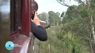 Steam Locomotive 3801  NSW Rail Museum Express  Part 2  April 2023 [upl. by Loy281]