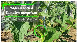 Mit Rasenschnitt mulchen  Tomaten ausgeizen [upl. by Sianna]