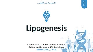 Lipogenesis Fatty Acid synthesis Part 1 [upl. by Boswall708]