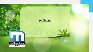 Medicinal Benefits Of Triphala Mathrubhumi News [upl. by Prowel]