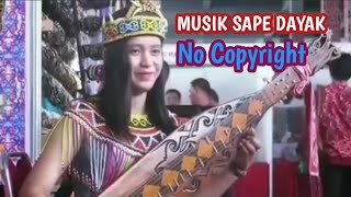 Instrumental Musik Sape Dayak No Copyright [upl. by Ecnarret]