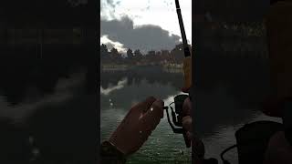 Fishing planet Catching a Redfin Trophy Pickerel [upl. by Kral159]