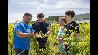 Presentation of Bordeaux Vine Experimental Unit [upl. by Tiphanie]