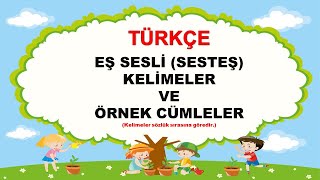 Eş Sesli Kelimeler ve Örnek cümleler Resimli [upl. by Worlock]