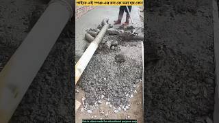 Why sponge ball insert in concrete pipe facts ytstudieo reels youtuberlife vairalshort [upl. by Crocker118]