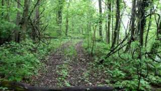 McKendree Hospital Ruins [upl. by Moulden745]