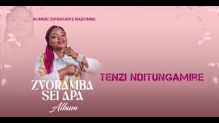 Tenzi Nditungamire  Rumbie Zvirikuzhe  Official Audio [upl. by Notnilk]