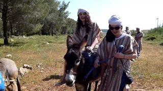 Donkey Riding at Kfar Kedem 1 of 2 [upl. by Staffan]